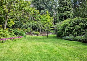 Optimiser l'expérience du jardin à Montreuil-des-Landes
